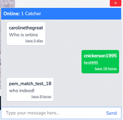 La ventana de chat con el número de personas conectadas, los mensajes y el cuadro de mensaje.